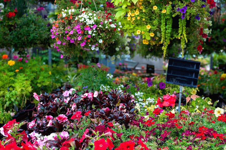 Blumenbeet anlegen - Tipps und Ideen zur Gestaltung im Garten | Schweiz